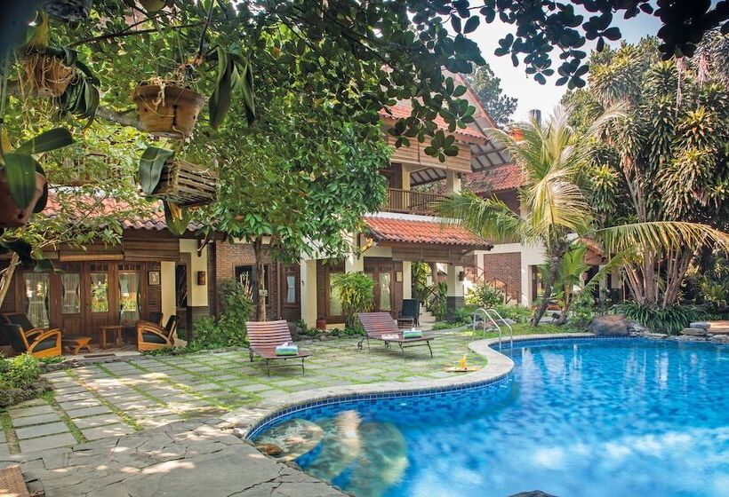 Fotos del hotel Duta Garden:  29