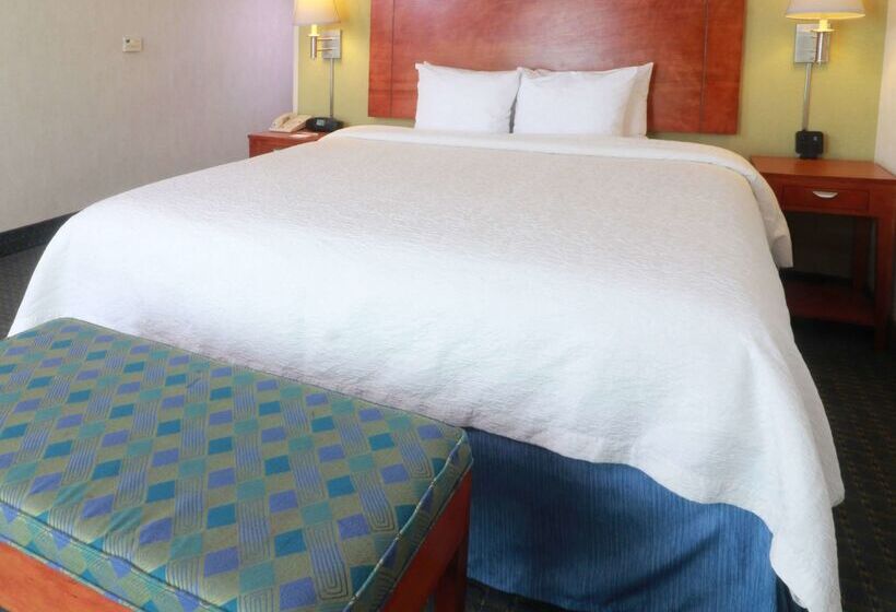 فندق Hampton Inn By Hilton Reynosa/zona Industrial