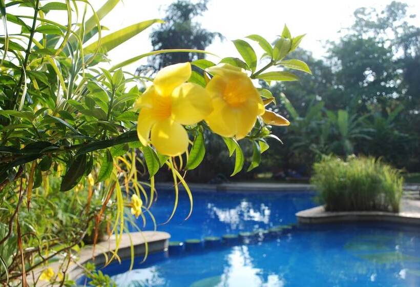 هتل Laguna Anjuna