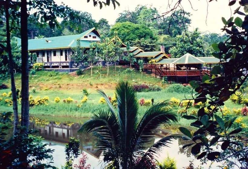 هتل Sepilok Jungle Resort