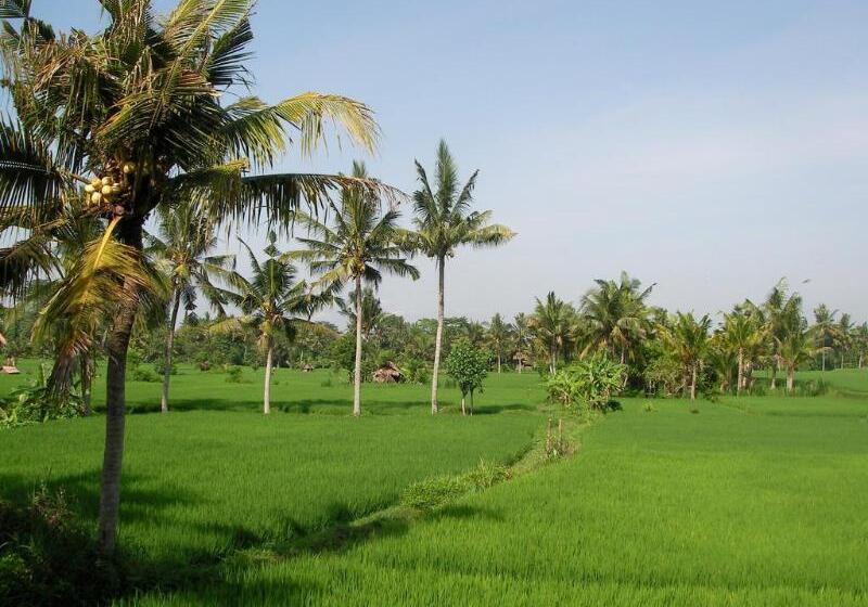 Fotos del hotel Green Field Hotel And Restaurant:  21