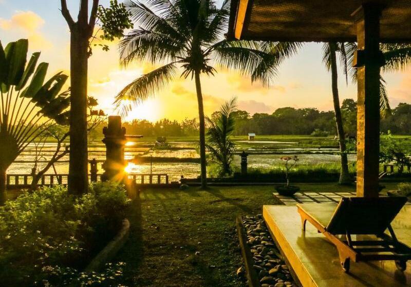 Fotos del hotel Green Field Hotel And Restaurant:  20