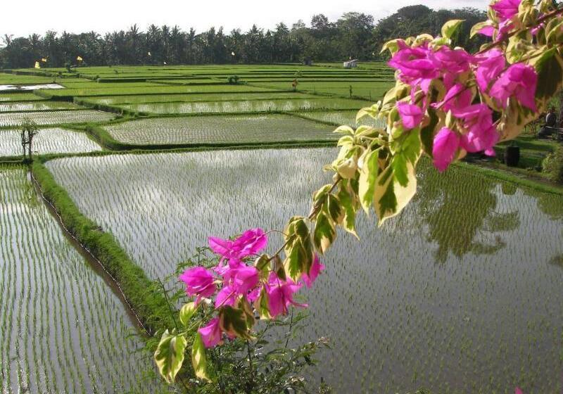 Fotos del hotel Green Field Hotel And Restaurant:  12