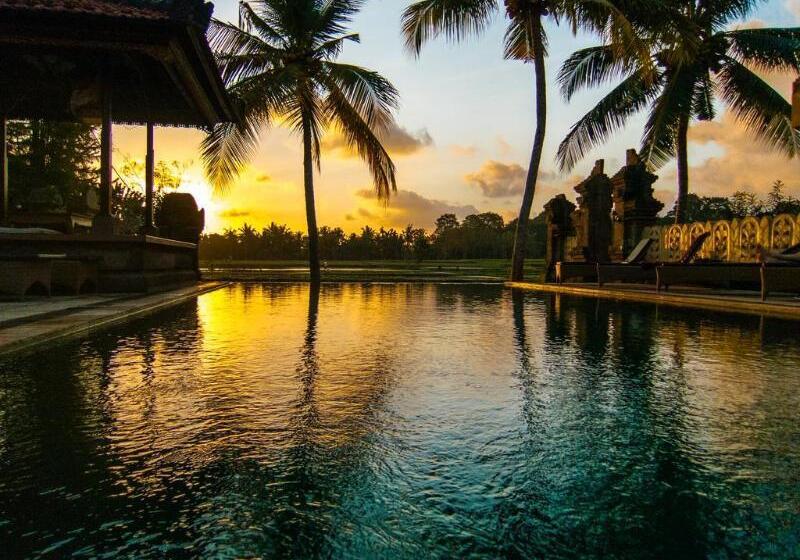 Fotos del hotel Green Field Hotel And Restaurant:  25