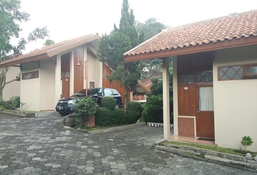 Fotos del hotel Ahadiat  & Bungalow:  13