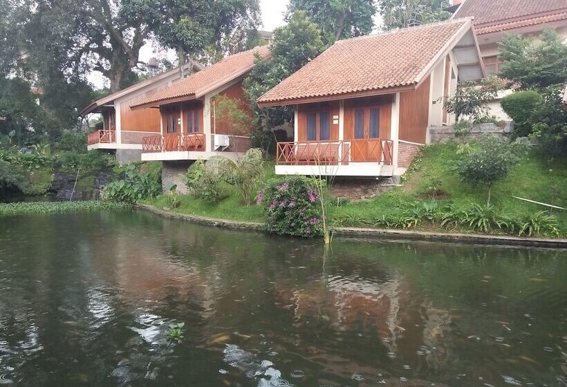 Fotos del hotel Ahadiat  & Bungalow:  17