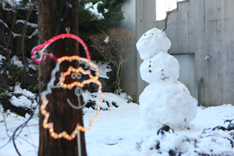 Hotel Apa  Karuizawa Ekimae Karuizawaso