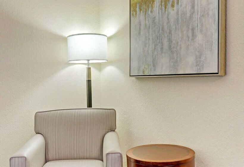 هتل Best Western Plus Downtown Inn & Suites