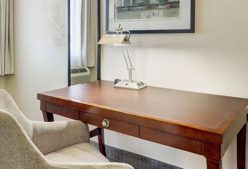 هتل Best Western Plus Downtown Inn & Suites