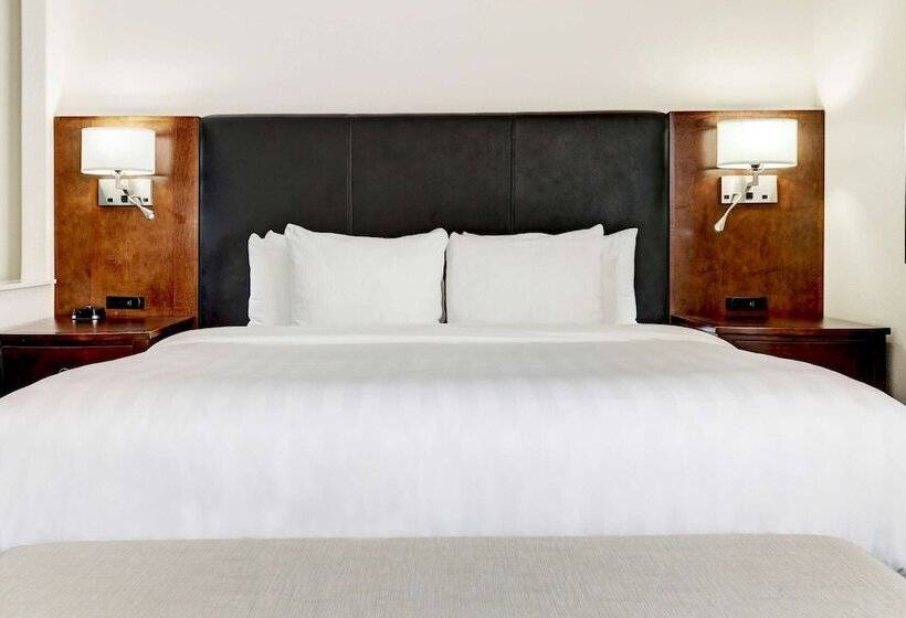 هتل Best Western Plus Downtown Inn & Suites
