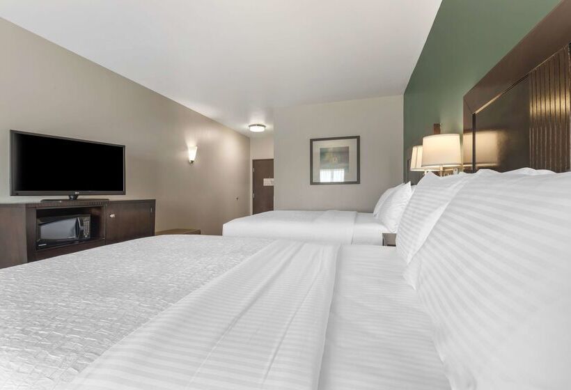 酒店 Best Western Plus Duncanville/dallas