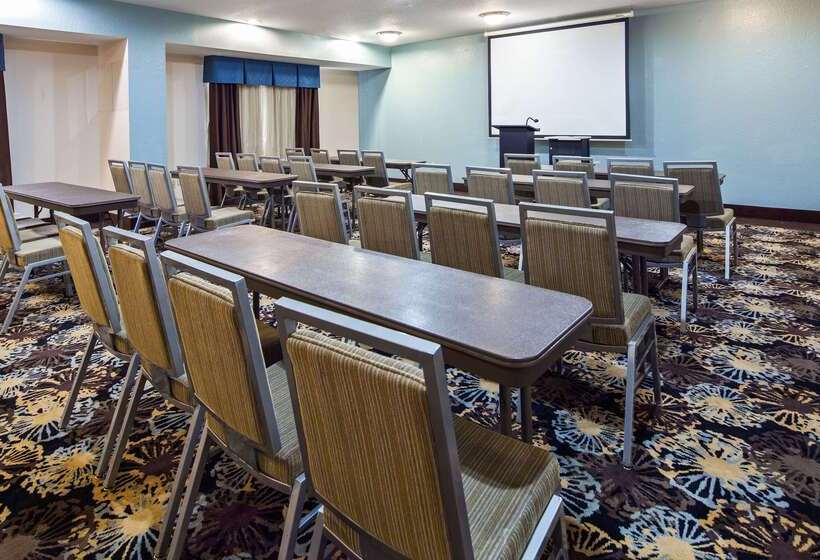 Fotos del hotel Best Western Plus Northwest Inn And Suites Houston:  24