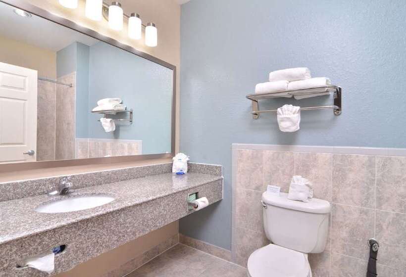 Fotos del hotel Best Western Plus Northwest Inn And Suites Houston:  28