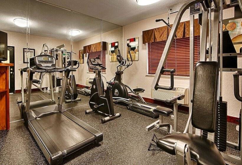 Fotos del hotel Best Western Plus Northwest Inn And Suites Houston:  50