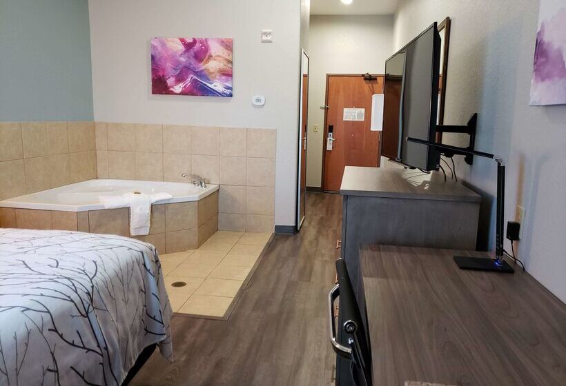 酒店 Best Western Plus San Antonio East Inn & Suites