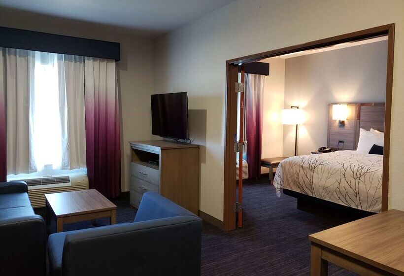 酒店 Best Western Plus San Antonio East Inn & Suites