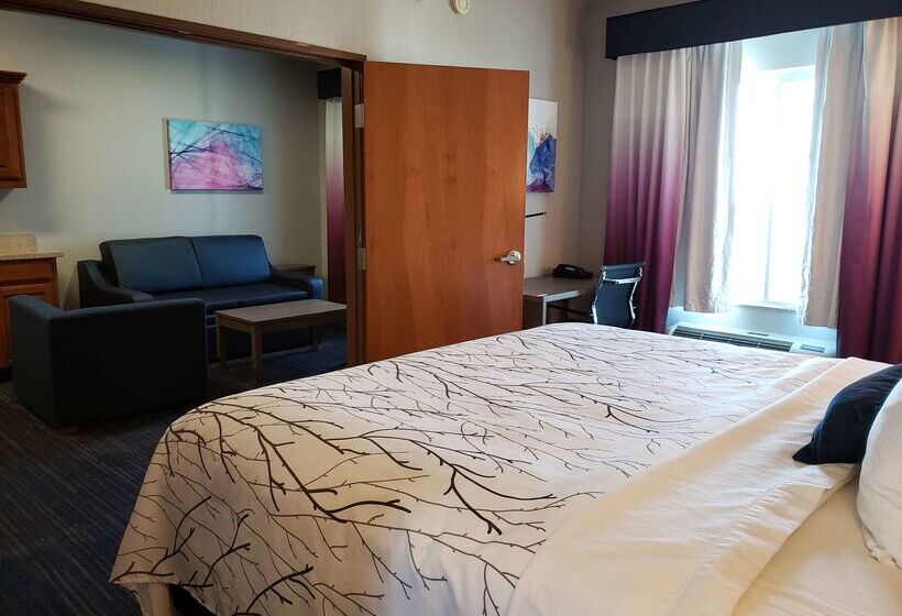 酒店 Best Western Plus San Antonio East Inn & Suites