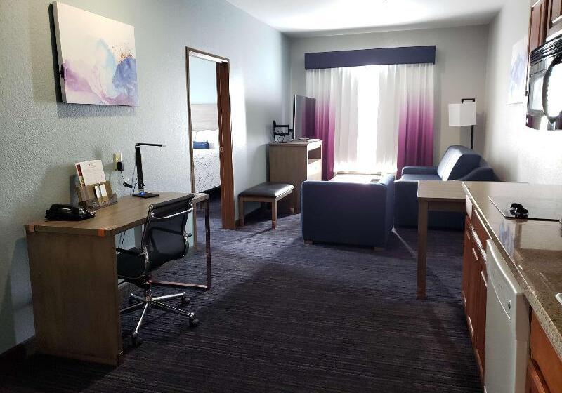 酒店 Best Western Plus San Antonio East Inn & Suites