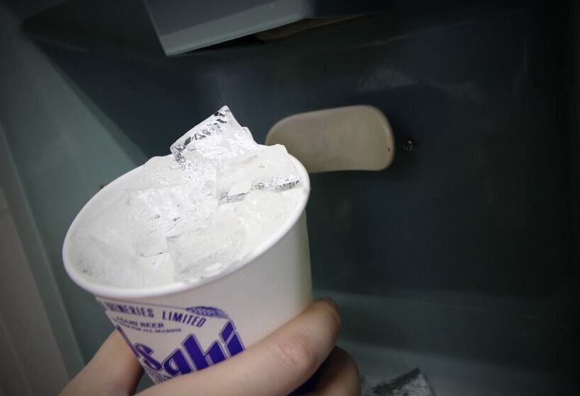 Fotos del hotel Claiton Shinosaka:  24