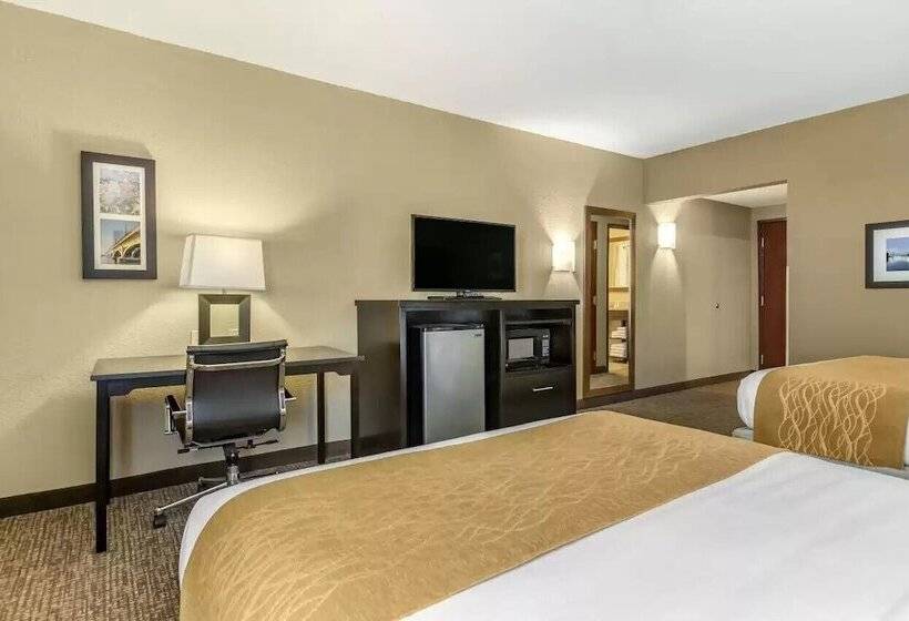 هتل Comfort Inn & Suites Allen Park  Dearborn