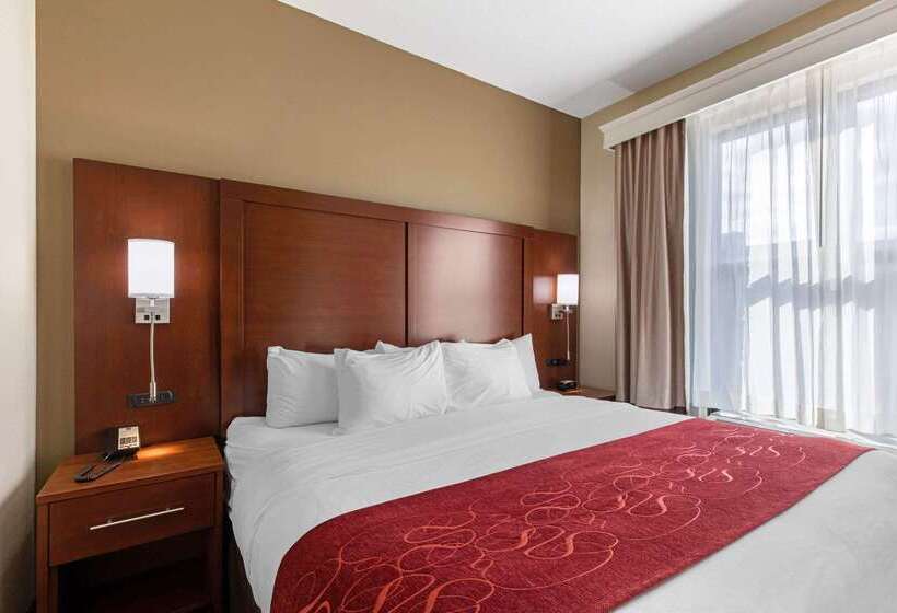 Hotel Comfort Suites Nashville