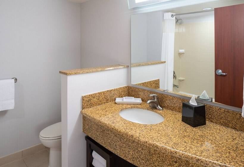 Fotos del hotel Courtyard By Marriott Miami Airport:  30