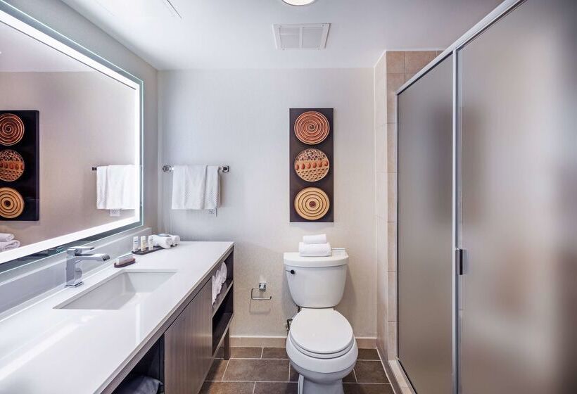 هتل Embassy Suites By Hilton Houston Energy Corridor