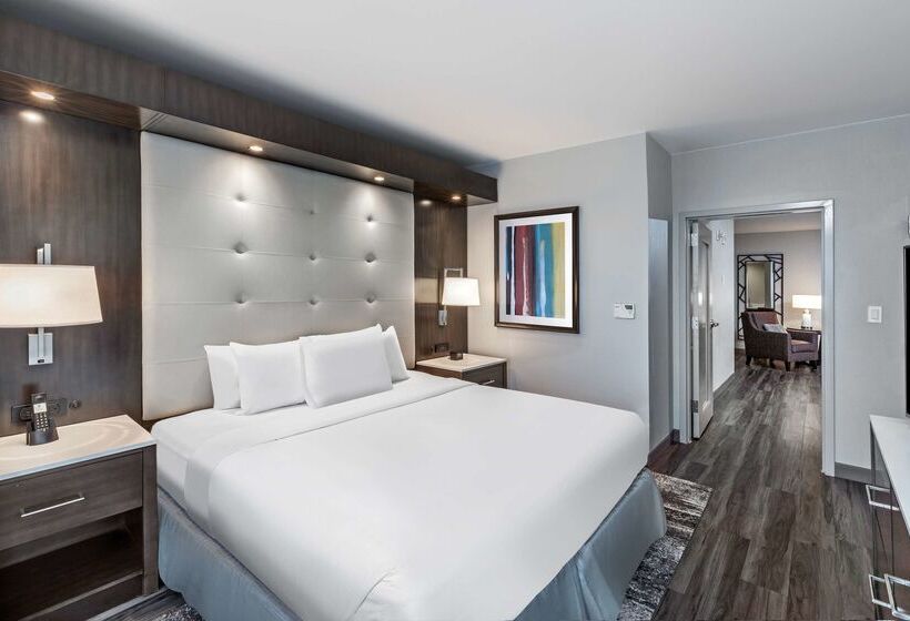 هتل Embassy Suites By Hilton Houston Energy Corridor
