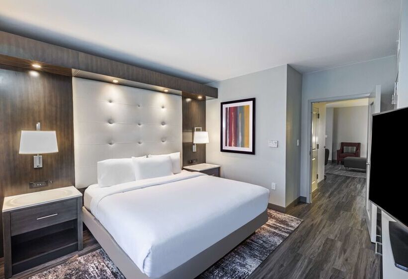 هتل Embassy Suites By Hilton Houston Energy Corridor