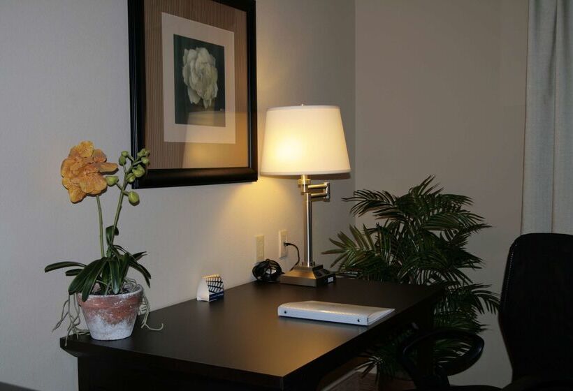 هتل Hampton Inn & Suites Austin Cedar Parklakeline