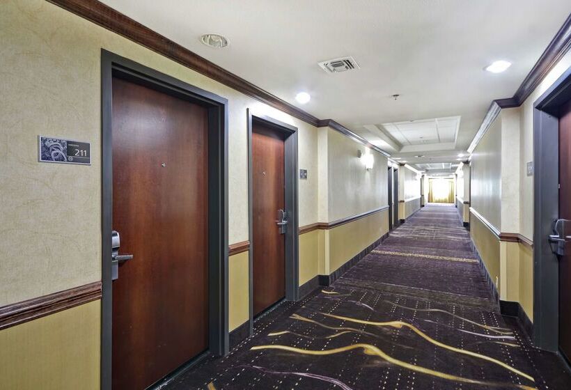 هتل Hampton Inn & Suites Corpus Christi I37  Navigation Blvd