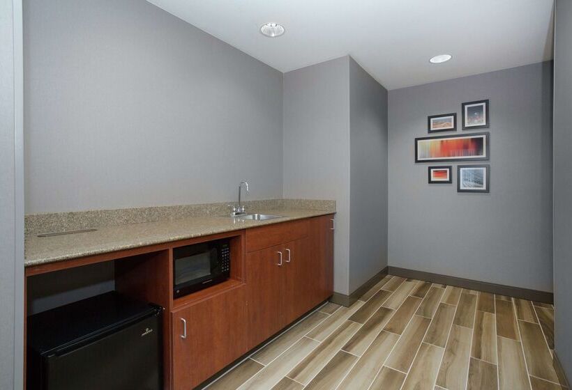 هتل Hampton Inn & Suites Denverdowntown