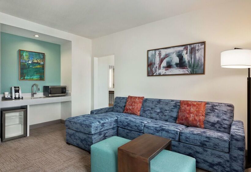 Fotos del hotel Hilton Garden Inn Houston Energy Corridor:  8