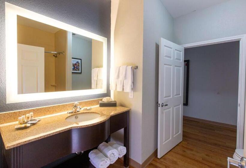 هتل La Quinta By Wyndham Houston East At Normandy