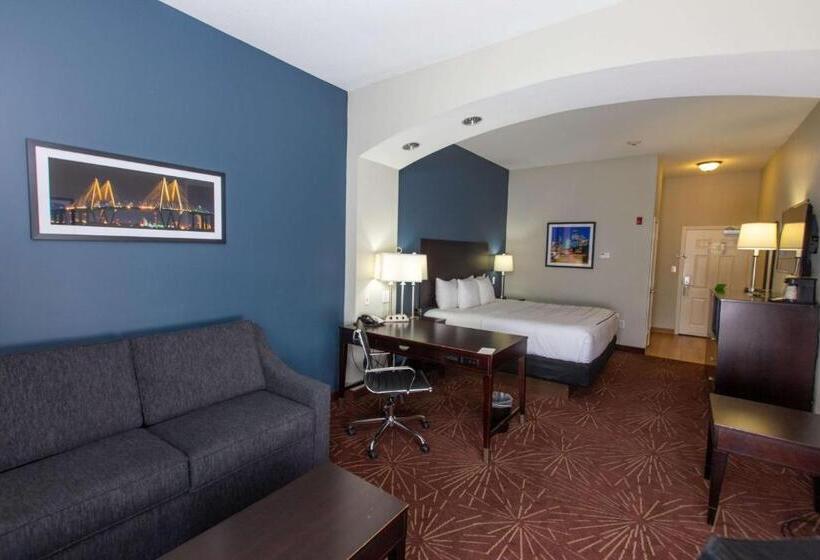 هتل La Quinta By Wyndham Houston East At Normandy