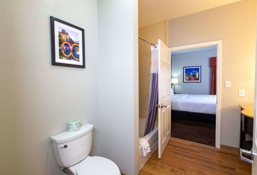 هتل La Quinta By Wyndham Houston East At Normandy