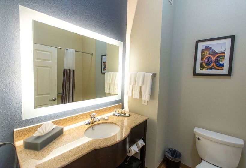هتل La Quinta By Wyndham Houston East At Normandy