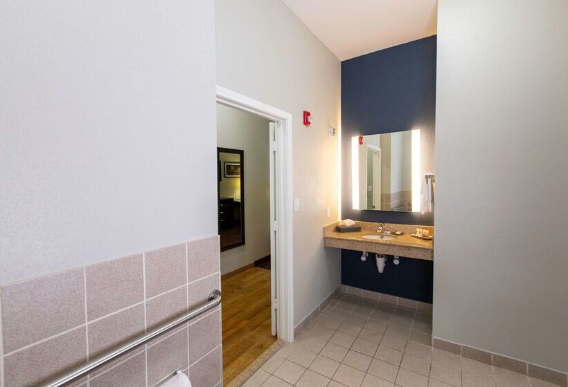 هتل La Quinta By Wyndham Houston East At Normandy