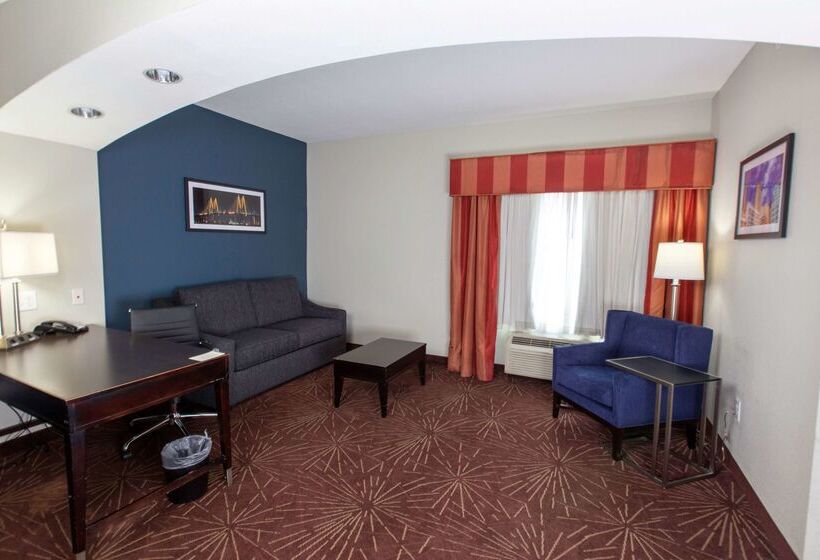 هتل La Quinta By Wyndham Houston East At Normandy