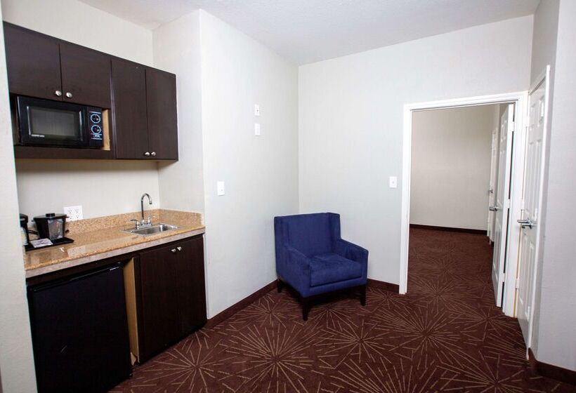 هتل La Quinta By Wyndham Houston East At Normandy