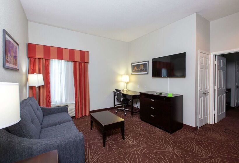 هتل La Quinta By Wyndham Houston East At Normandy