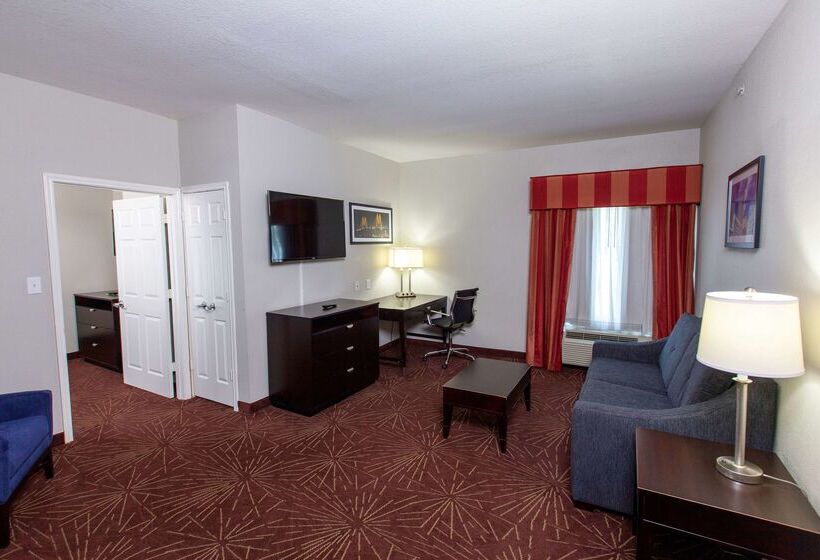 هتل La Quinta By Wyndham Houston East At Normandy