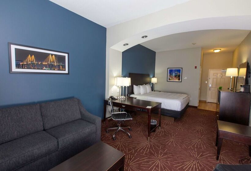هتل La Quinta By Wyndham Houston East At Normandy