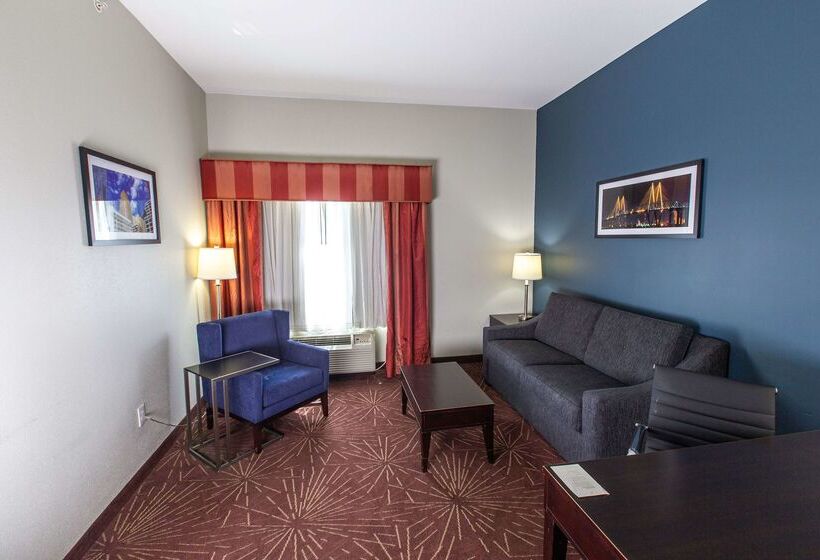 هتل La Quinta By Wyndham Houston East At Normandy