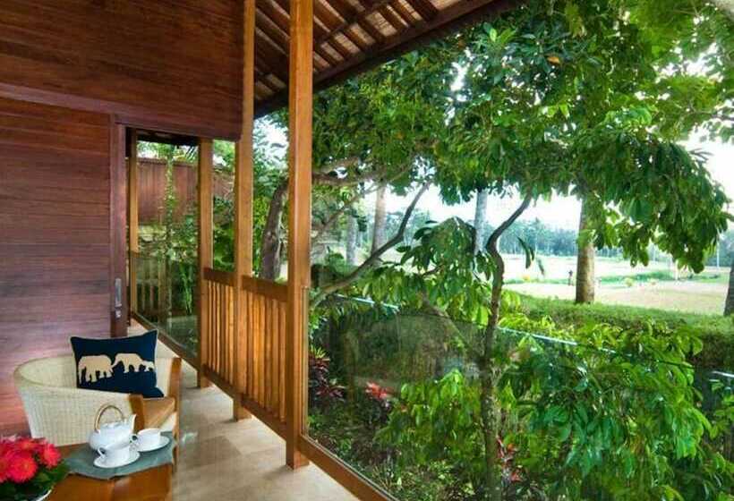 Fotos del hotel Mason Elephant Lodge:  12