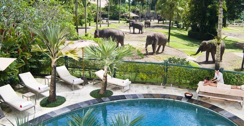 Fotos del hotel Mason Elephant Lodge:  9