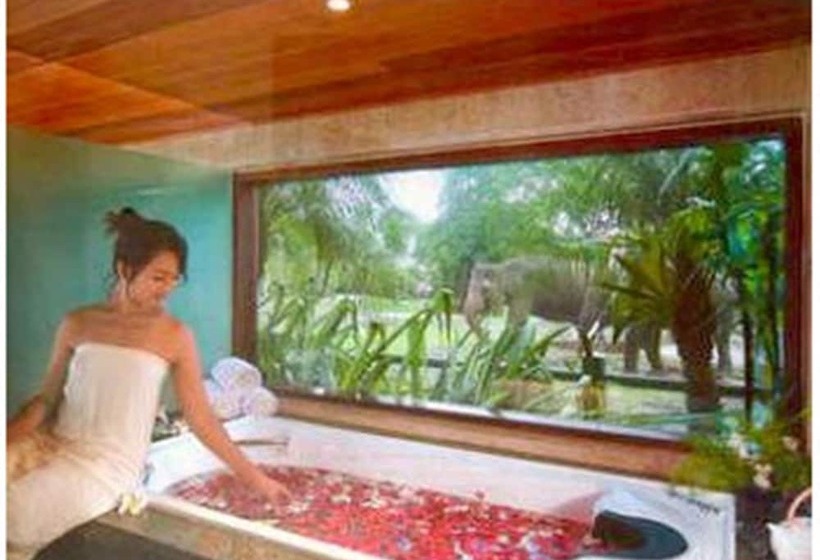 Fotos del hotel Mason Elephant Lodge:  7