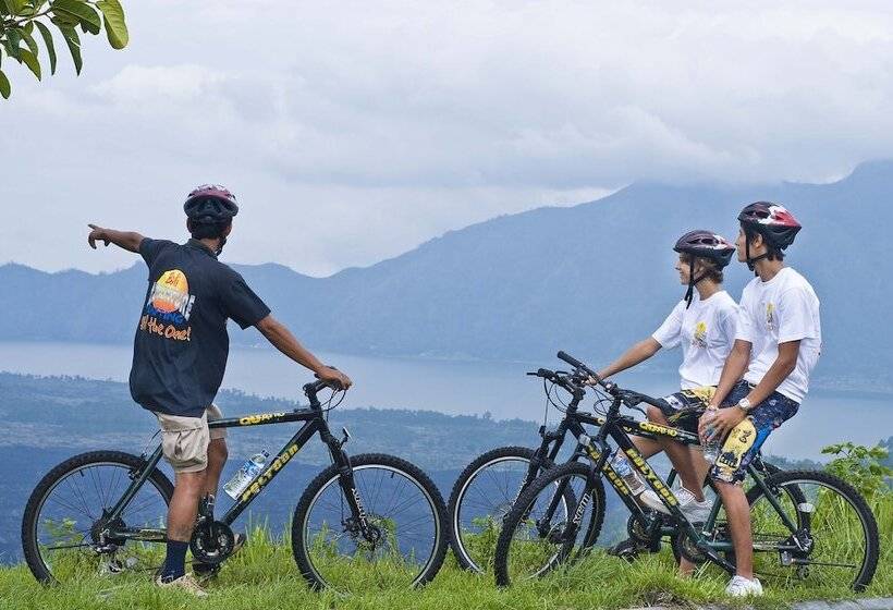 Fotos del hotel Mason Elephant Lodge:  27