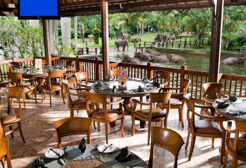 Fotos del hotel Mason Elephant Lodge:  5