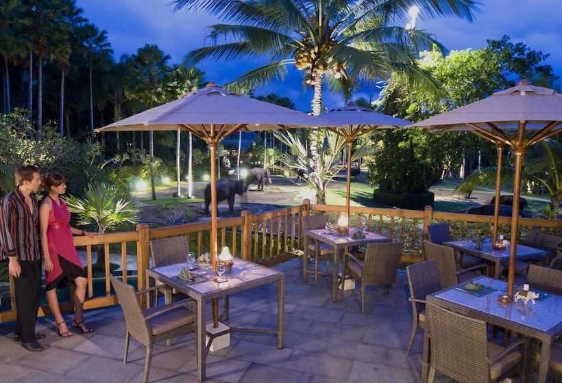 Fotos del hotel Mason Elephant Lodge:  3